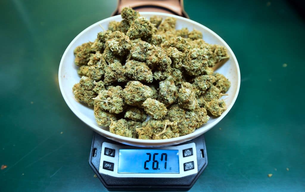 Photo for: Marijuana Moment Mentions GAI's NEW Report on Cannabis Cronyism